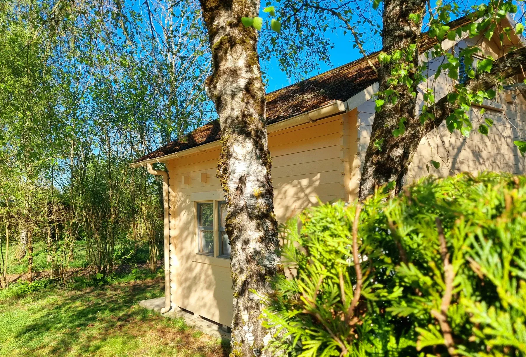 Parc de Coullons Grand Parc — Un chalet bois sous les bouleaux