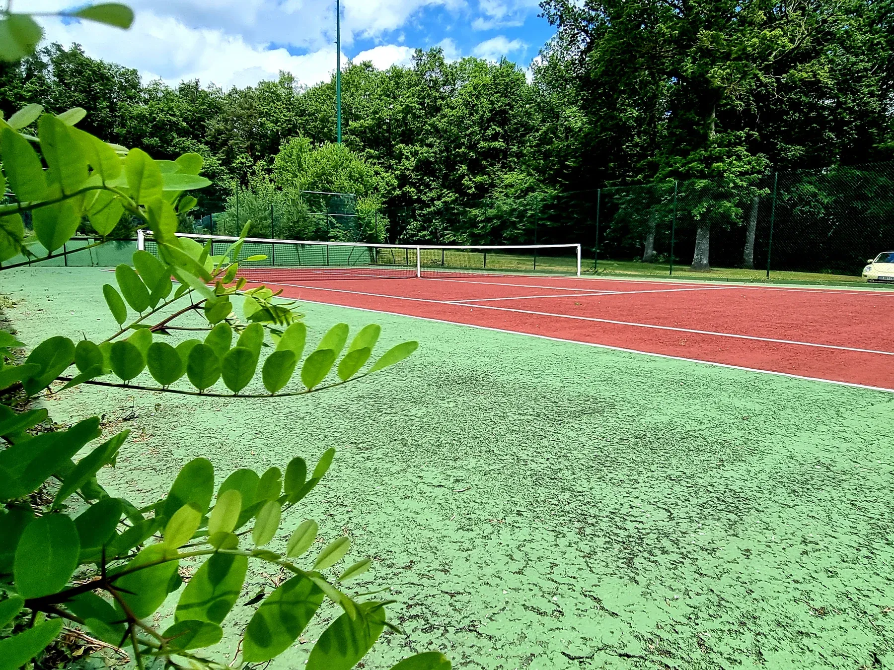 Parc de Nibelle — Le court de tennis, en lisière de forêt