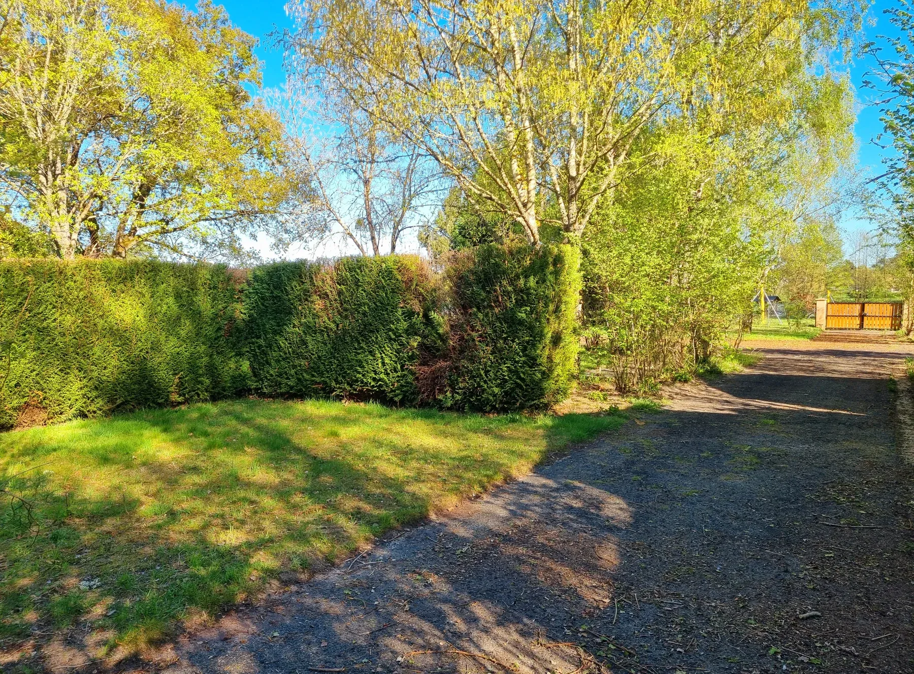 Parc de Coullons Grand Parc — Les haies de thuyas qui séparent les parcelles