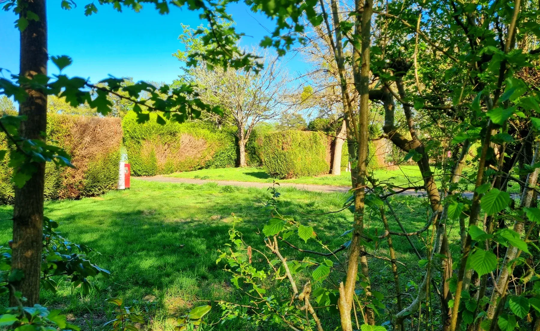 Parc de Coullons Grand Parc — Une parcelle engazonnée, délimitée par ses haies