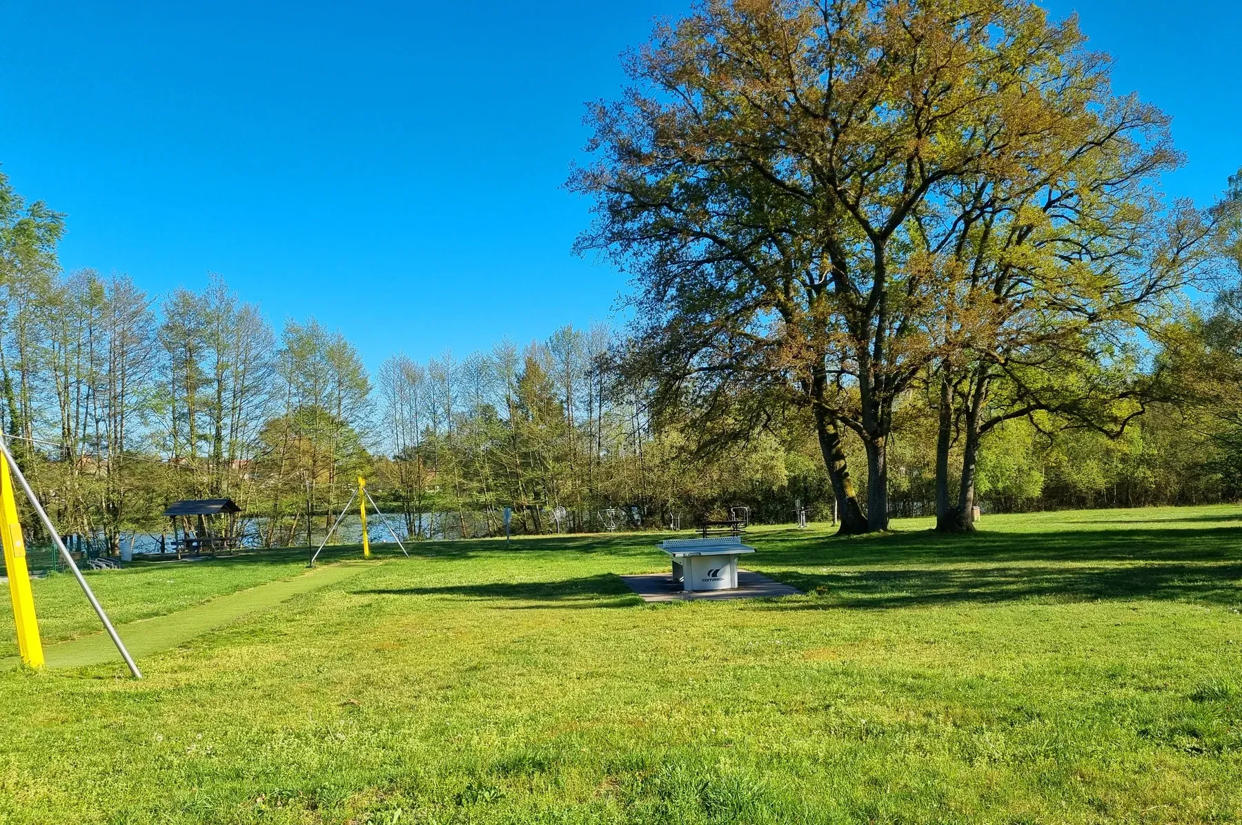 Parc de Coullons Grand Parc — La table de ping-pong sous les chênes, face à l’étang