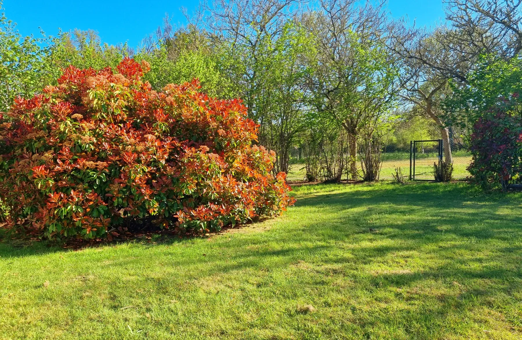 Parc de Coullons Grand Parc — Le portail du parc, ouvert sur la campagne solognote